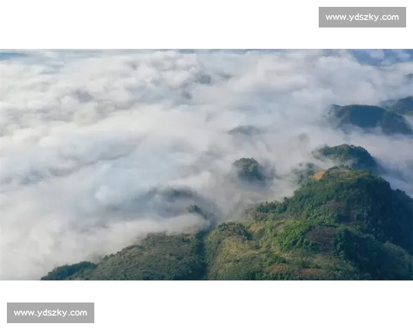 央视盯上开阳猴耳天坑！出片率 90%，这 “飞翔” 太上头